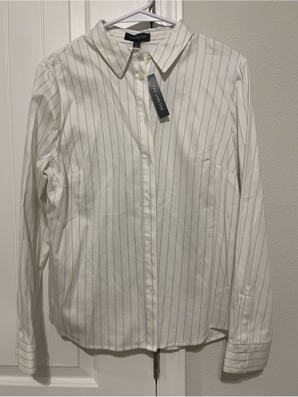 The Limited Button- Down Dress Shirt